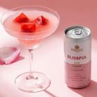 blissful-sabor-raspberry-rose-essential-269ml